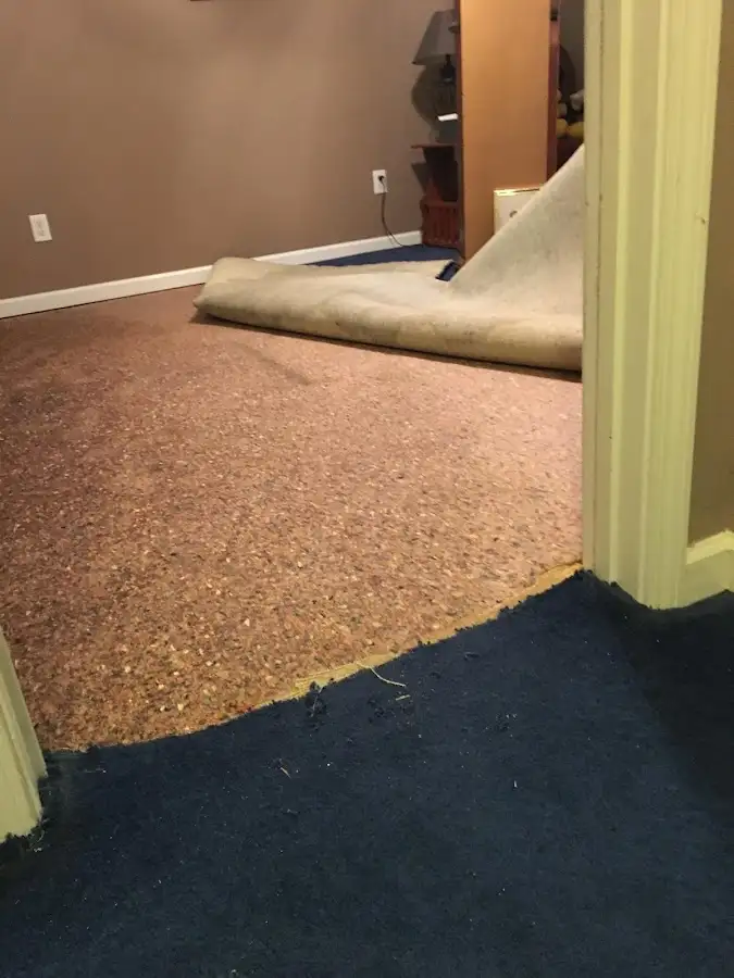Carpet pad removal revealing water damage during Drying & Dehumidification in Barrington